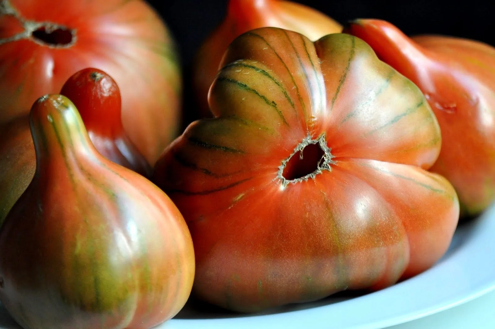 El-Tesoro-de-la-Huerta-Valenciana